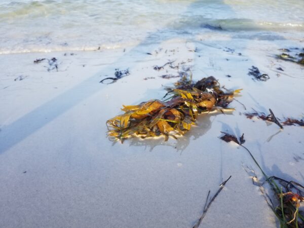 Fotoprint 'Tanz am Strand' mit Fotografen im Hintergrund