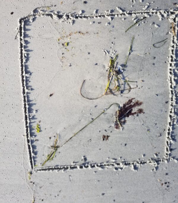 "Original gerahmtes Tanggrass-Formation Bild vom weißen Strand Balka auf Bornholm