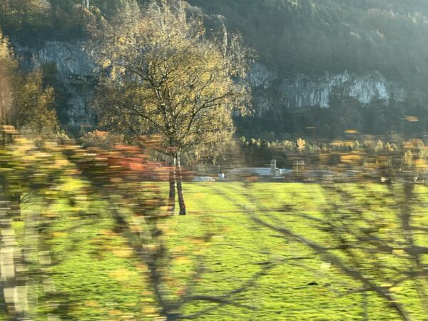 Sanfte Herbstbilder zum Fahren