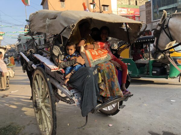 einachsen transport indien