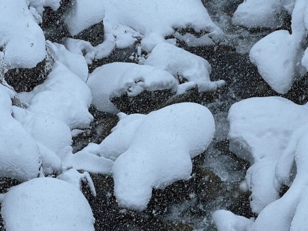 'Kreatives Tierphänomen Wasser Schnee - Dekorationsset'