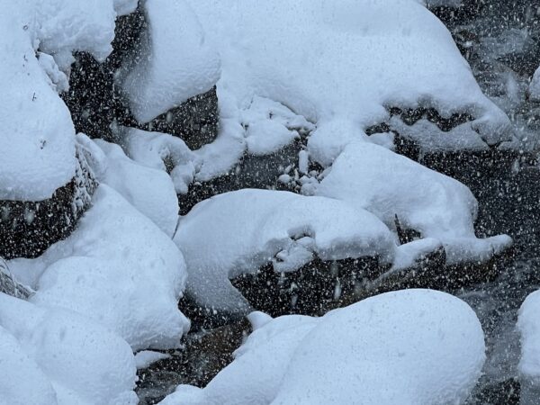 Kreatives Schnee-Wasser-Laufspiel mit Tieren in Weiß