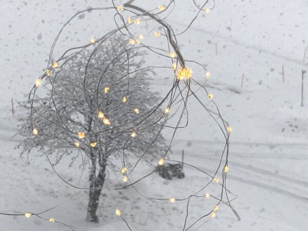 Lichterkette mit Schneebaum-Motiv