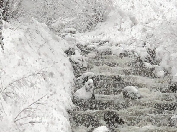 "Winterliche Sturzbäche in Disentis - Fotografie Serie 'Schnee in – Bild 3