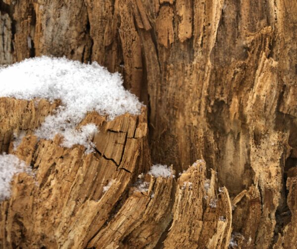 "Schnee in Holzfels-Spalte" Dekorationselement