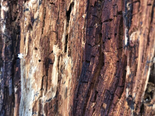 Blauer Dekorationsgegenstand aus Holz