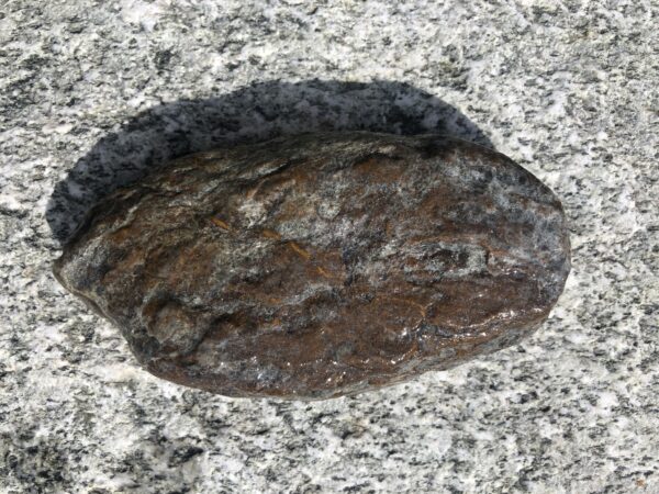 Dunkelgrauer und roter Stein Granit aus dem Rhein bei Disentis