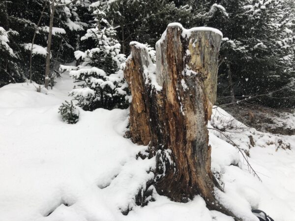 Holzskulptur 'Schnee in Surselva'