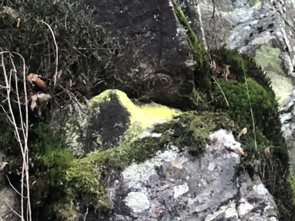 Schwarzwald Felsen in Farben Gelb und Grün