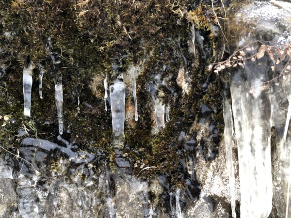 "Dekorative Wachsende Eiszapfen für Innen- und Außendek