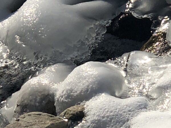 Vitale Eishügel am Oberrhein in Suselva