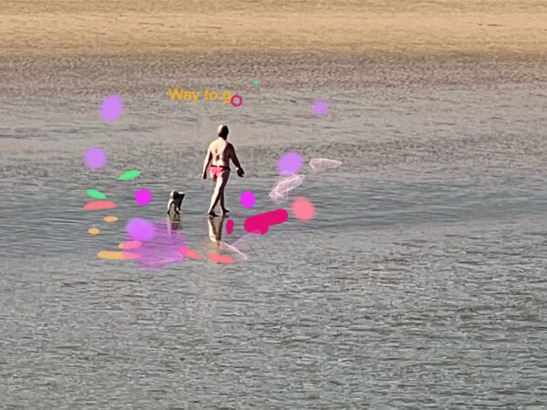 Handbemaltes Originalfoto Strandspaziergang Mann mit Hund